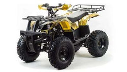 Квадроцикл MOTOLAND 150 MAVERICK