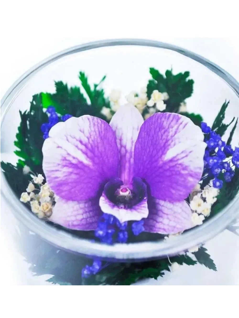 натуральные цветы в стекле, вакуум 05.21