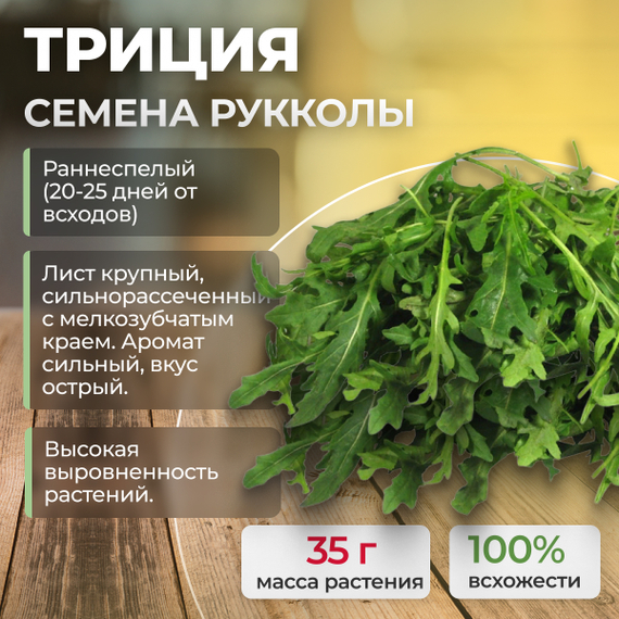 ТРИЦИЯ семена рукколы (Enza Zaden | Alexagro) культура