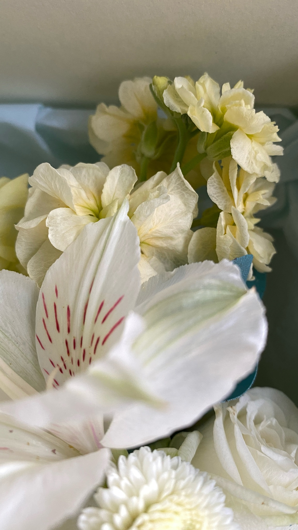 Невинность