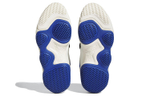 Кроссовки Adidas Top Ten 2000