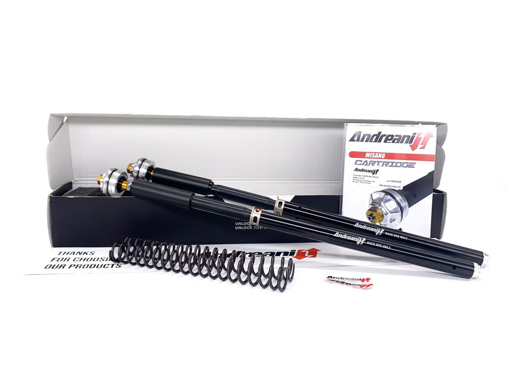 105/D60E ANDREANI MISANO EVO CARTRIDGE KIT MARZOCCHI 50 (DVL V4)