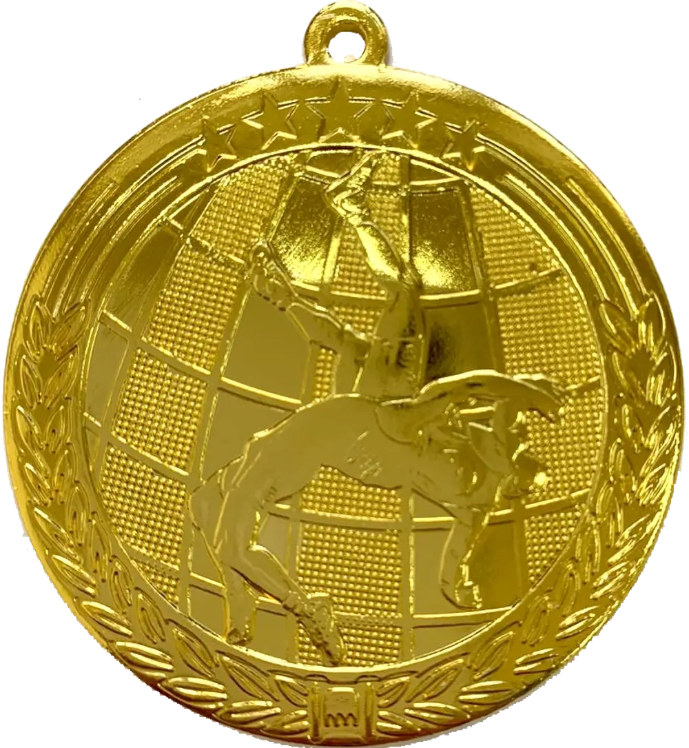 Медаль Борьба