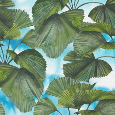 Акварельные пальмовые листья на фоне неба