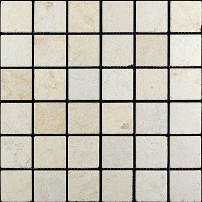 Мозаика мрамор Adriatica 7M021-48P (48x48)