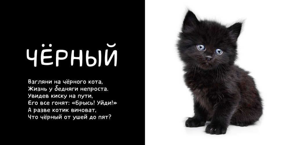 Я учу цвета. Фотокнига
