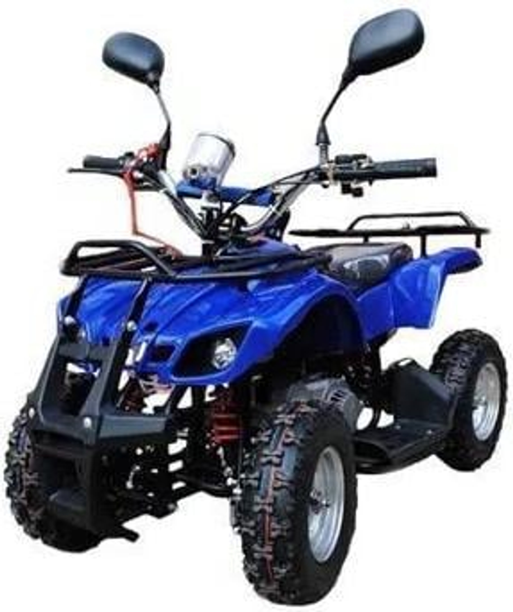 Квадроцикл RAPTOR Max Pro 49cc (2024)