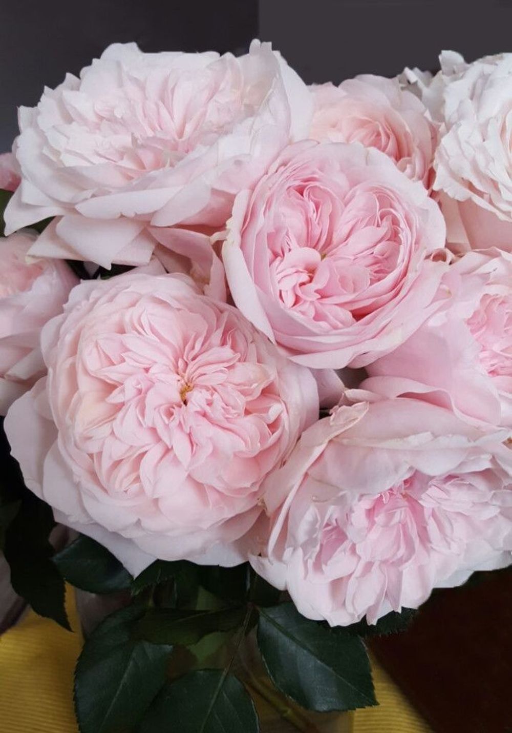 Тсумуги (Tsumugi)