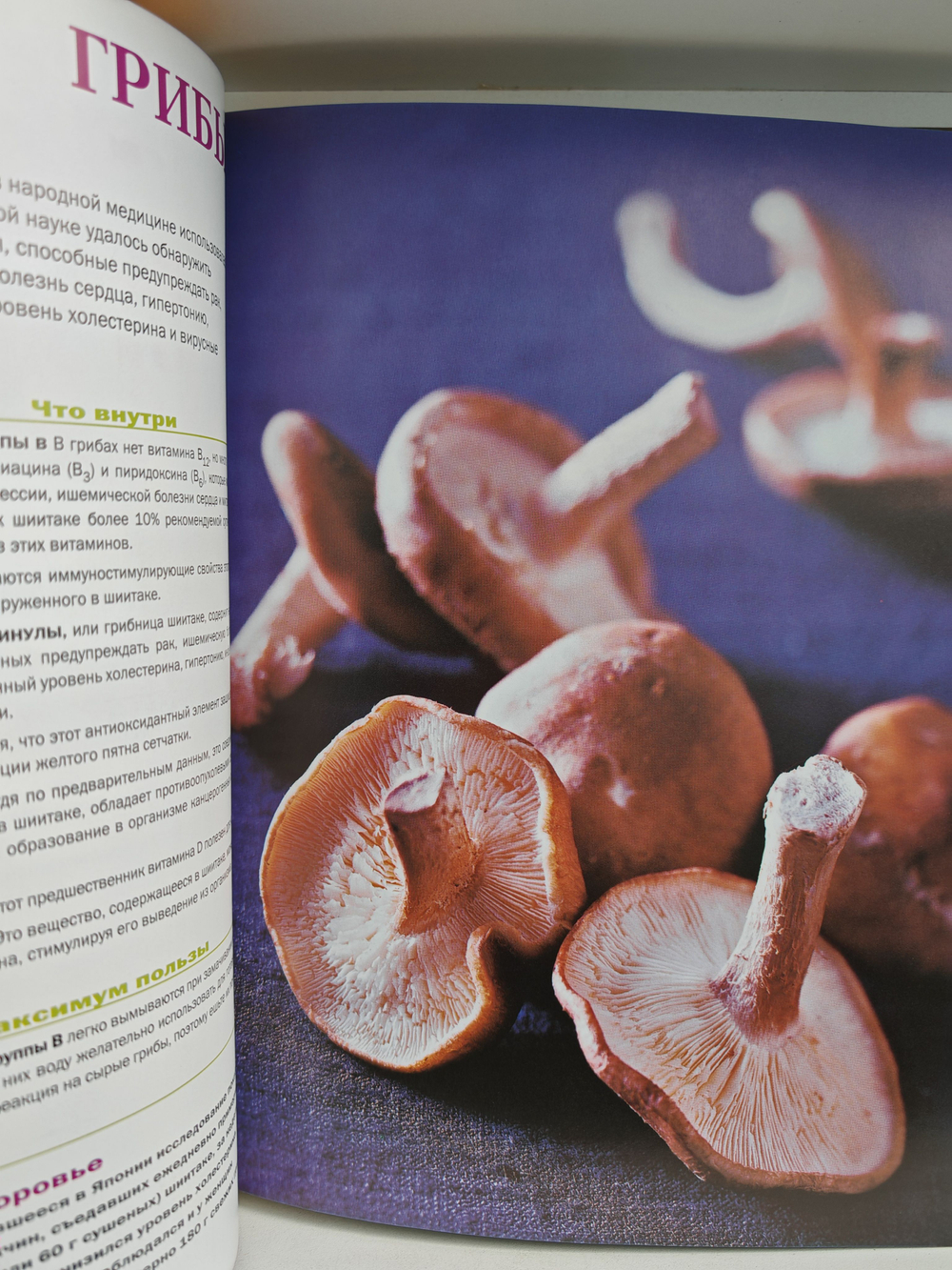 Моя еда мое лекарство. Питание в борьбе с болезнями