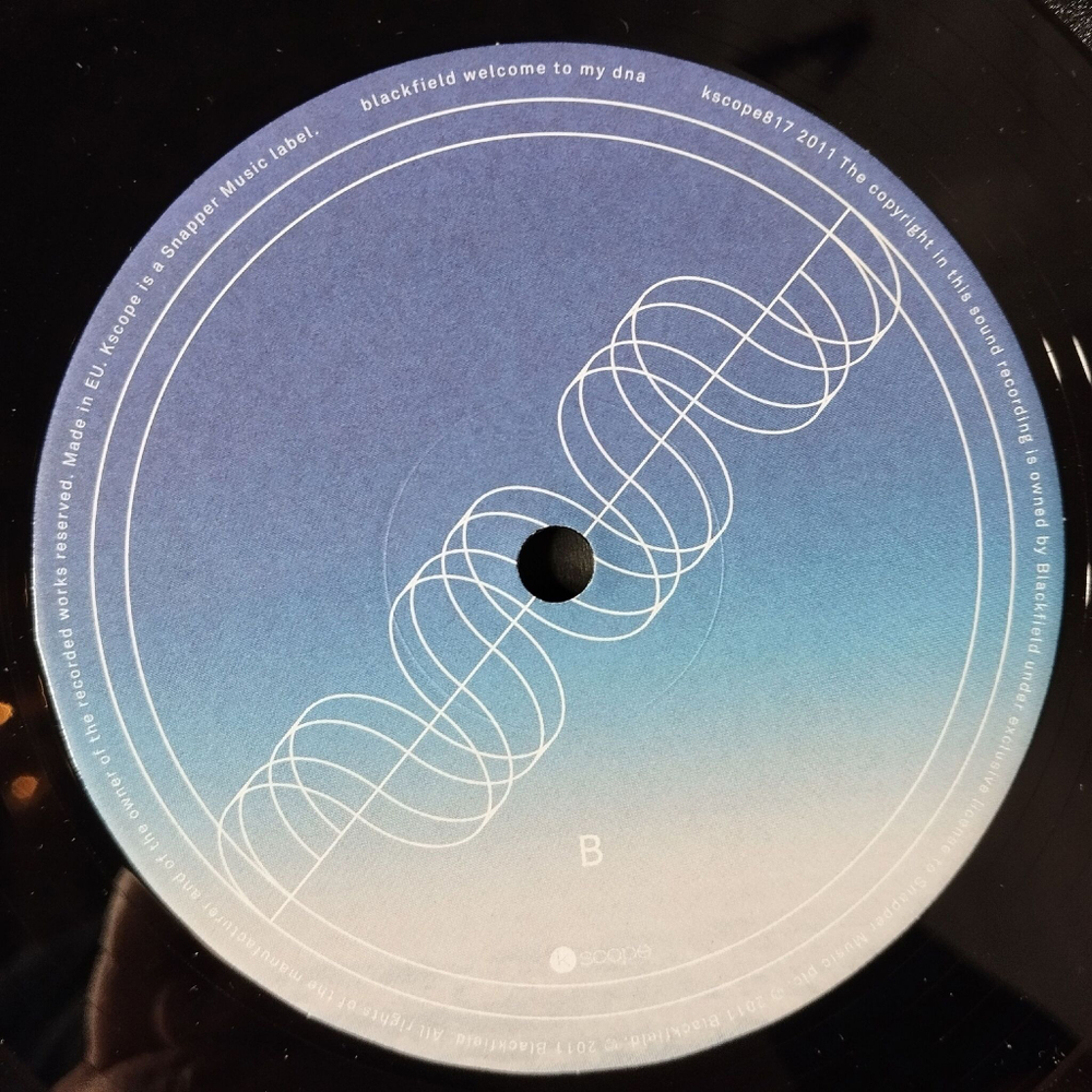 Винтажная виниловая пластинка LP Blackfield Welcome To My DNA (UK 2011)