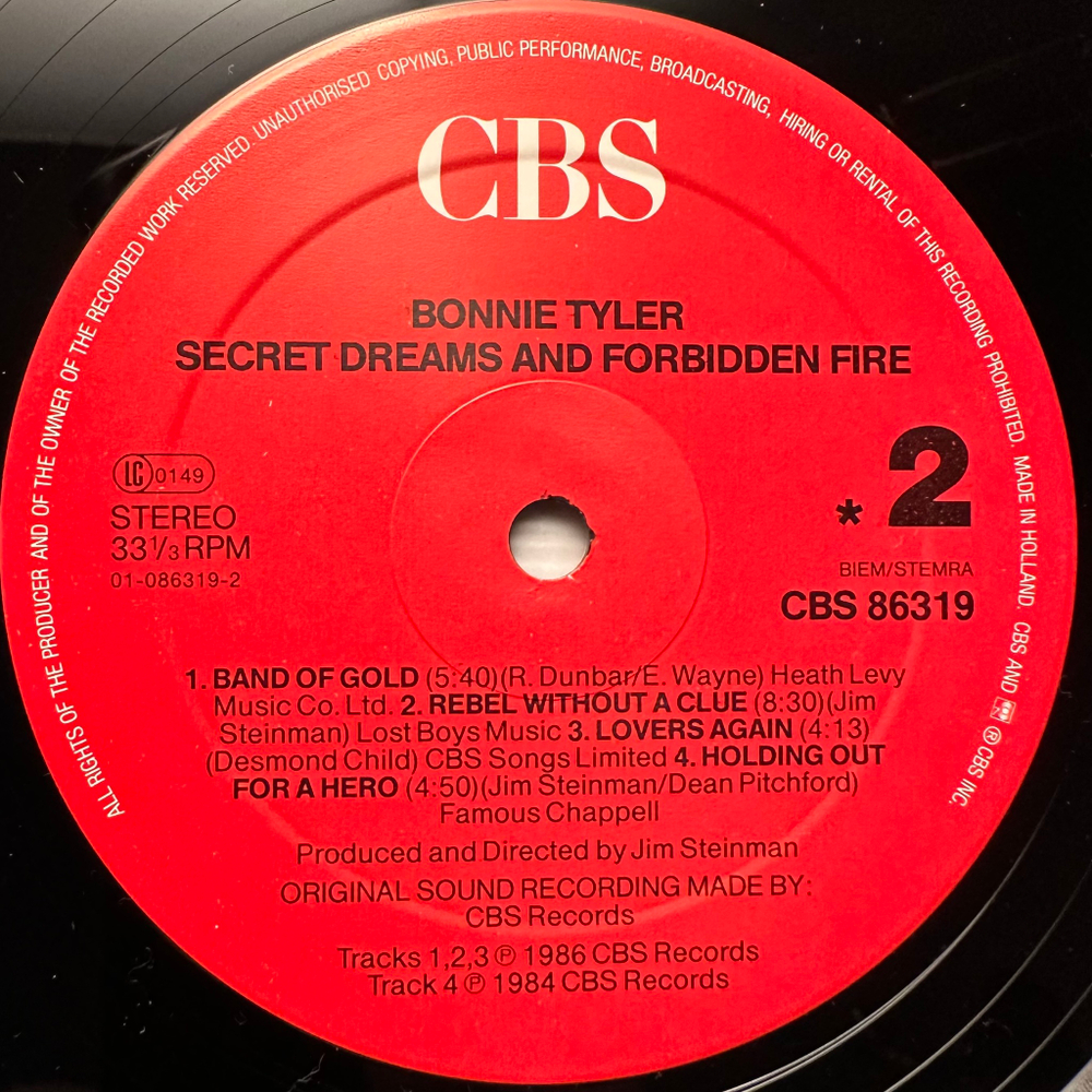 Bonnie Tyler - Secret Dreams And Forbidden Fire (Голландия 1986г.)