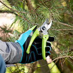 Секатор прямого реза, 185 мм, пластиковые рукоятки, Сибртех 60493