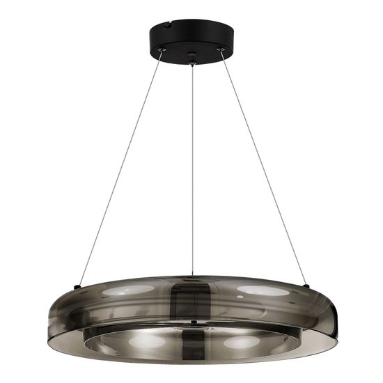 SL6019.333.01 Светильник подвесной ST-Luce Черный/Дымчатый, Белый LED 1*36W 3000K FORAY