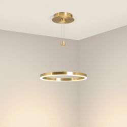 Светильник SP-CONGO-CAN-1-R400-24W Day4000 (GD, 120 deg, 230V) (Arlight, IP20 Металл, 5 лет) 046210