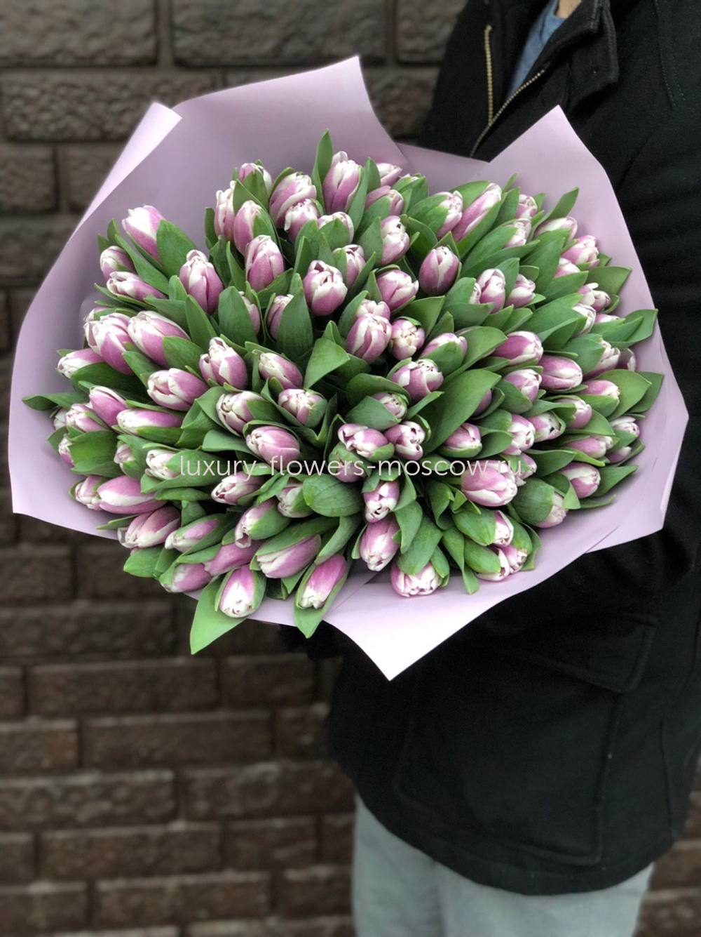 101 фиолетовый тюльпан