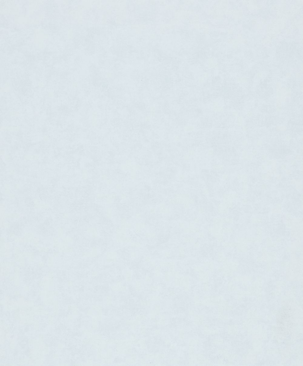 Shades Iconic / Flora