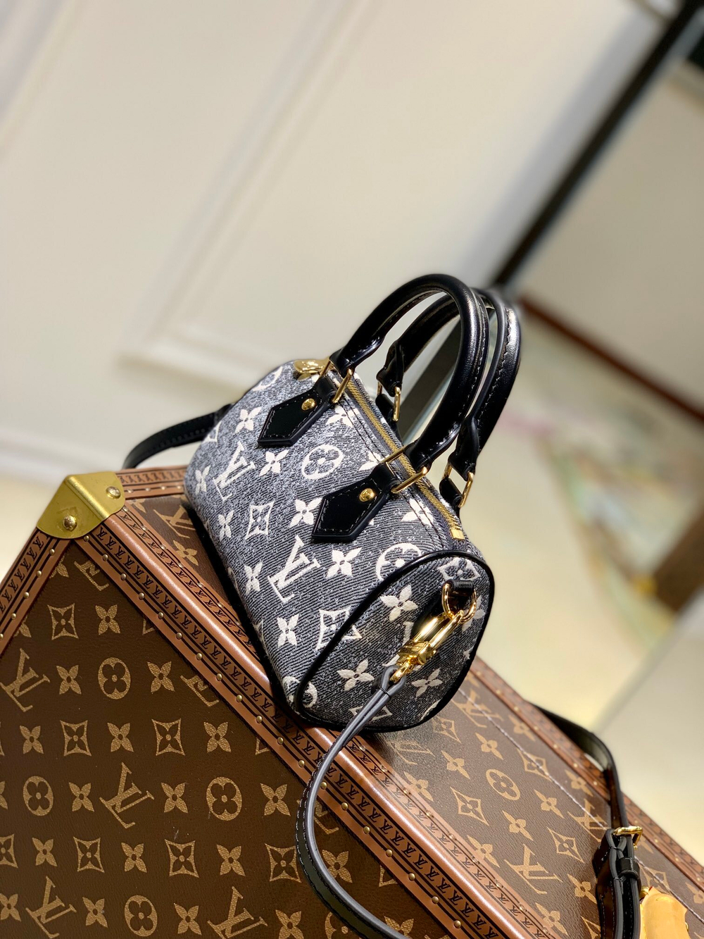 Louis Vuitton Nano Speedy