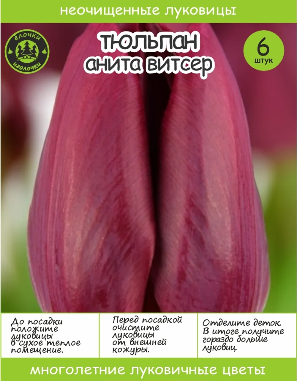 Тюльпан Луковица, Анита Витзер, 6+шт