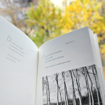 Сад мирозданья