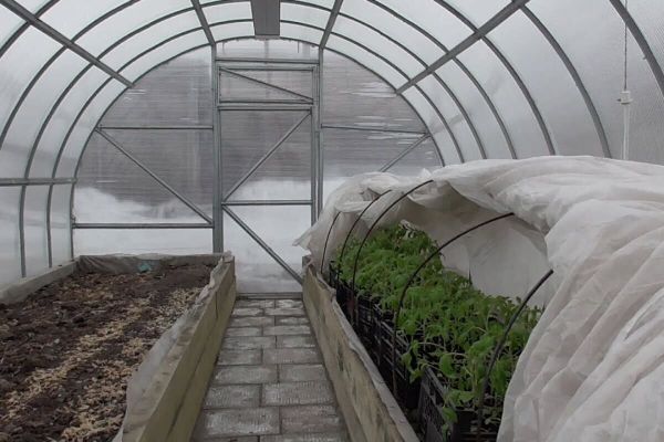 Защита теплицы от поздних заморозков: методы, которые работают в Иркутской области