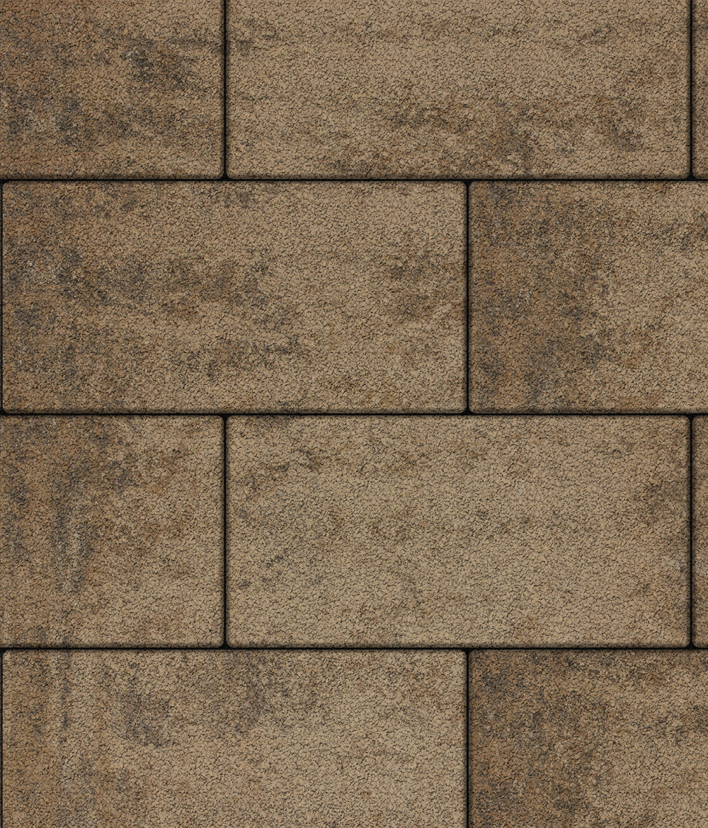 Тротуарная плитка ВЫБОР, форма Прямоугольник 600*300, h=60мм