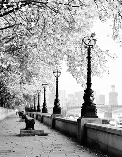 Коллекция Города и страны