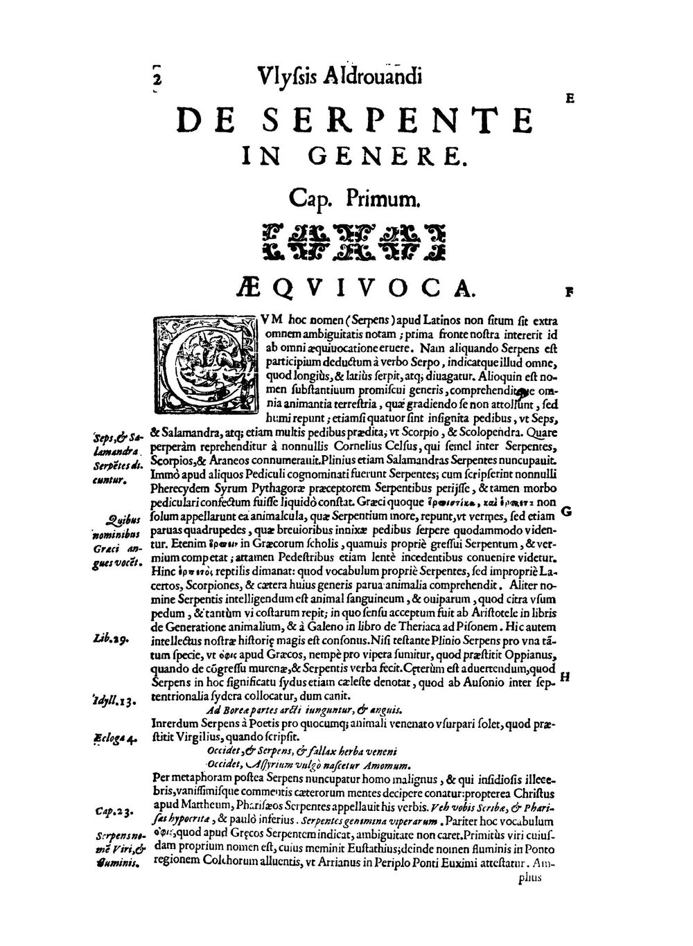 Vylssis Aldrovandi. Serpentvm, et draconv historiae libri dvo | Ulisse Aldrovandi