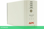 Источник бесперебойного питания APC BK500EI