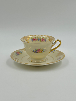 Кофейная пара Rosenthal, Floranada