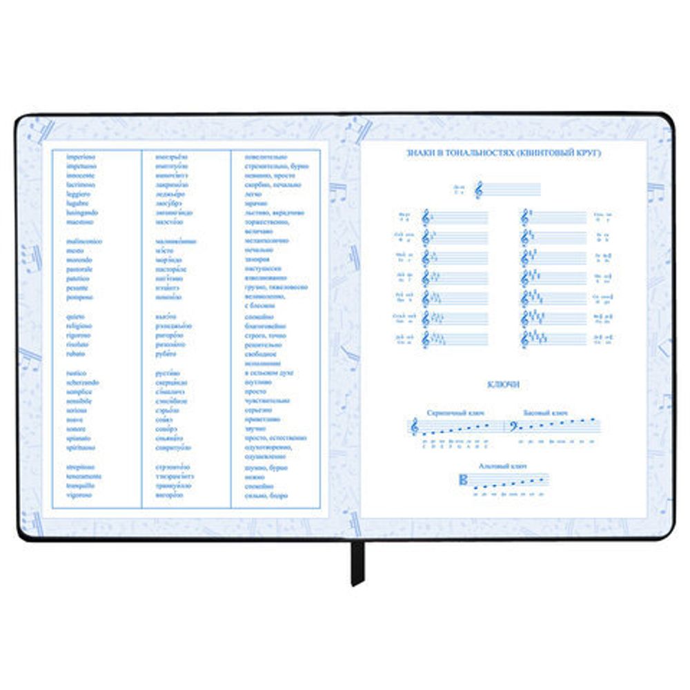 Дневник для музыкальной школы 170х215 мм, 48 л., обложка кожзам твердая, фольга, BRAUBERG, справочный материал, КЛАССИКА, 107369