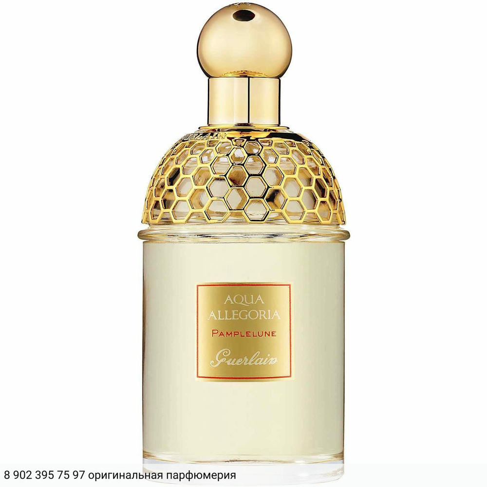 Aqua Allegoria Pamplelune