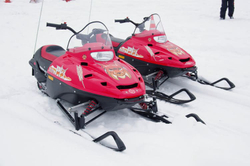 Снегоход РУССКАЯ МЕХАНИКА Тайга Рысь Детский