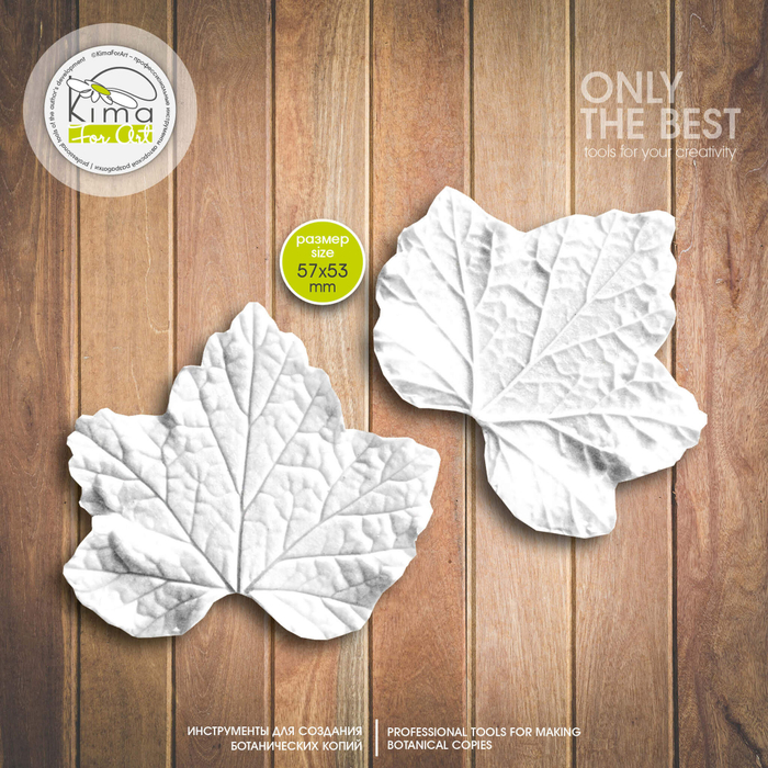 Смородина лист большой