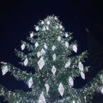 Светодинамическая елка ствольная со скамейкой, встроенная гирлянда: Холодный свет - "Лесная" (Литая хвоя) 12 м