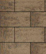 Тротуарная плитка ВЫБОР, форма Прямоугольник 600*300, h=60мм