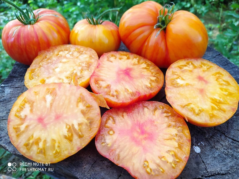 Большой оранжевый полосатый (Big orange striped) сорт томата