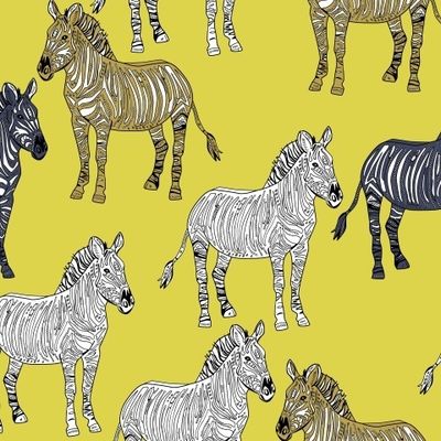 Зебры на желтом