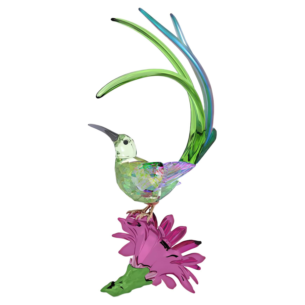 IDYLLIA:SUGARBIRD AND CACTUS FLOWER