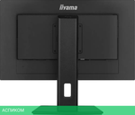 Монитор Iiyama ProLite XUB2493QSU-B5