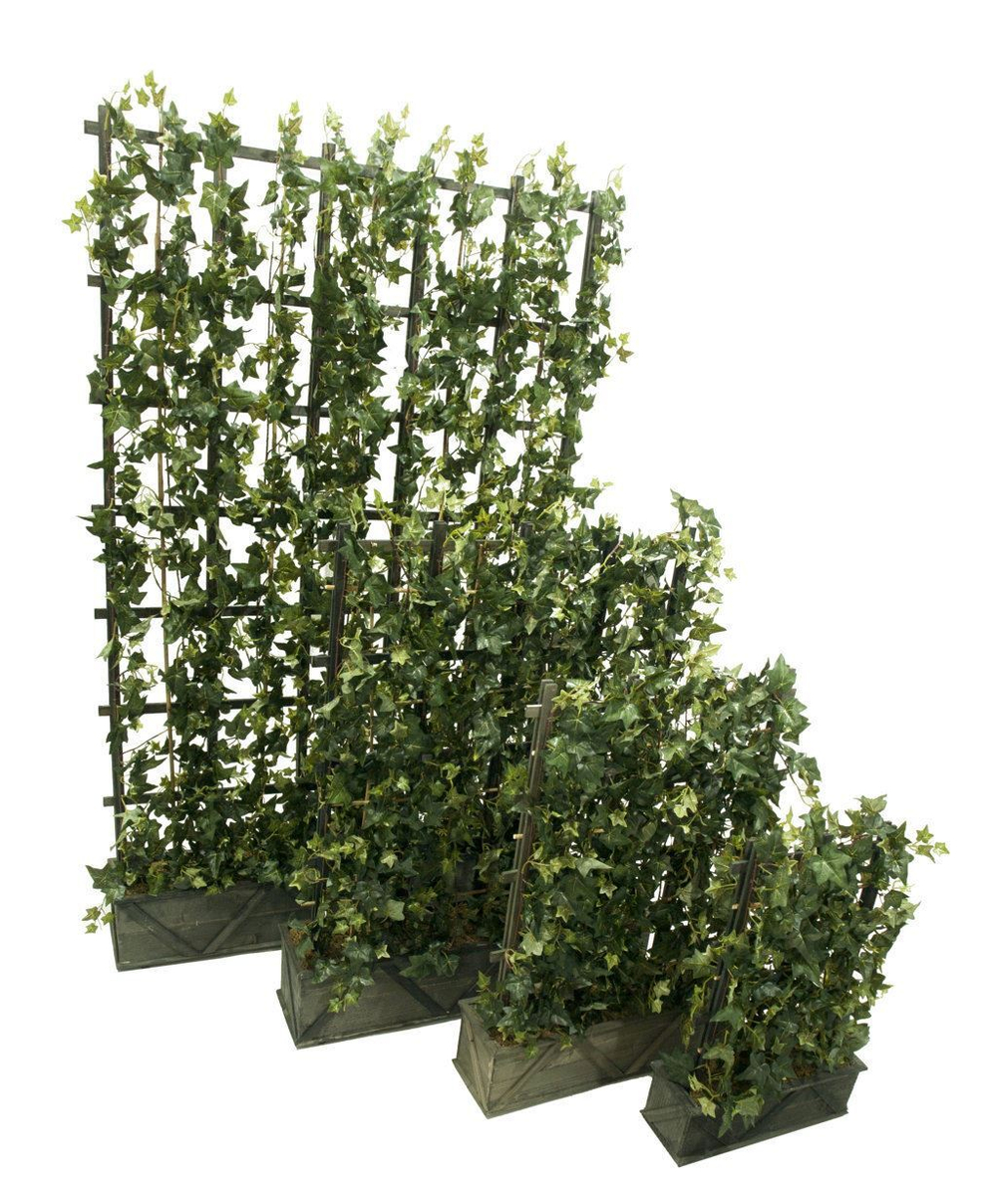 Композиция из плюща 40х60 см [Арт. 3692821]