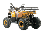 Квадроцикл 200 ALL ROAD X