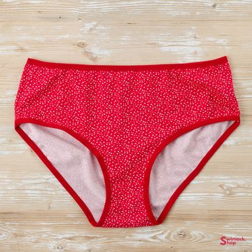 Трусики женские DOMINANT 54000-27, FULL BRIEF, 6 шт. в уп.