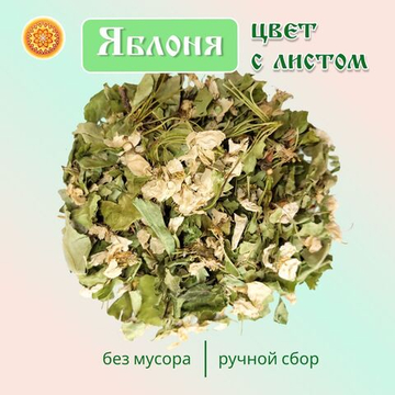 Яблоня цвет / цвет с листом.