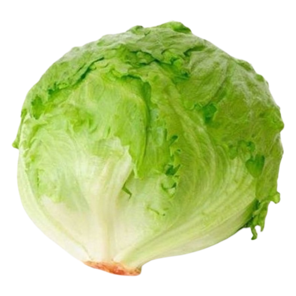 Капуста айсберг