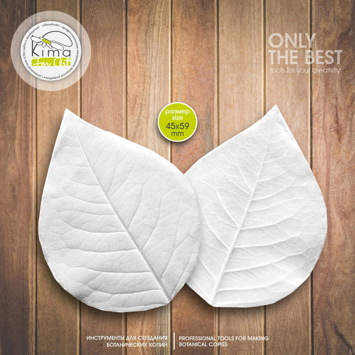 Роза лист  средний круглый