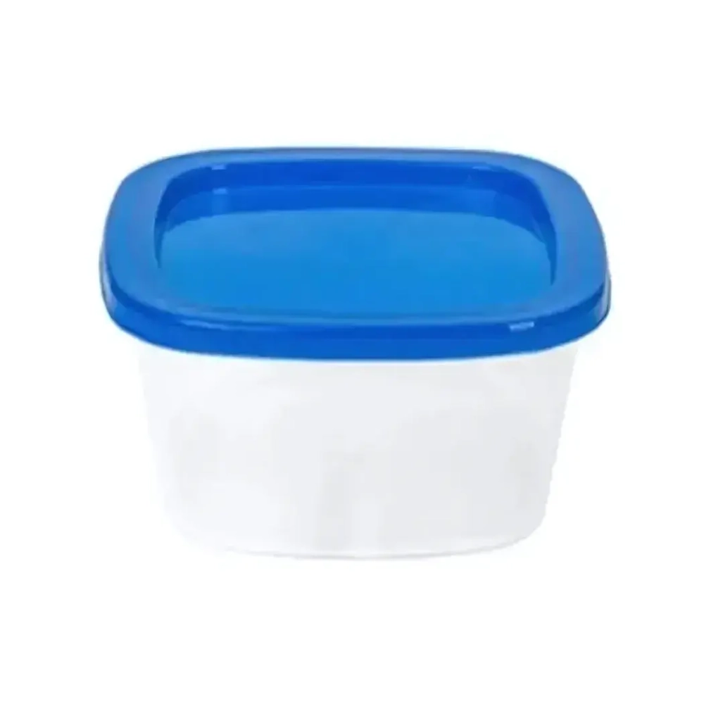 Контейнер квадратный BioFresh 0,23л.