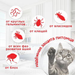 Капли на холку от клещей, блох и гельминтов для кошек от 4-8 кг Инсектал комбо К (Neoterica), 1 пипетка Фипронил/Моксидектин