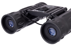 Бинокль Levenhuk Atom 10x25