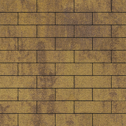 Тротуарная плитка ПРЯМОУГОЛЬНИК 300х100 мм - Листопад гранит Янтарь