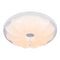 Потолочный светодиодный светильник Escada 10231/S LED